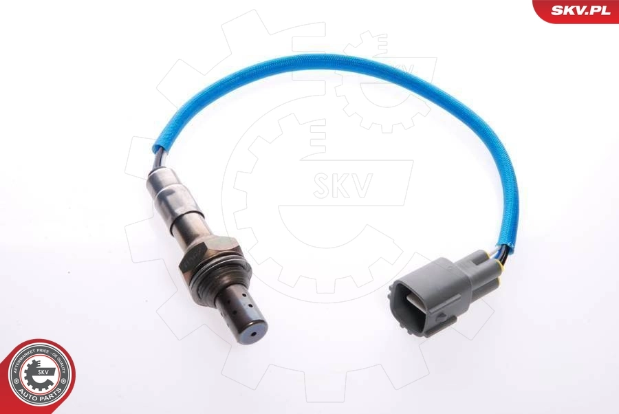 Oxygen Sensor